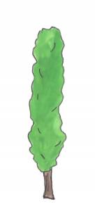 Arbre