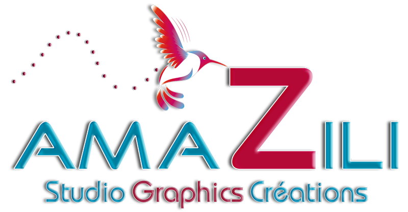 Logo VD Graphics agence de communication, graphiste,  site web, communication print, web 2.0, r&eacute;seaux sociaux